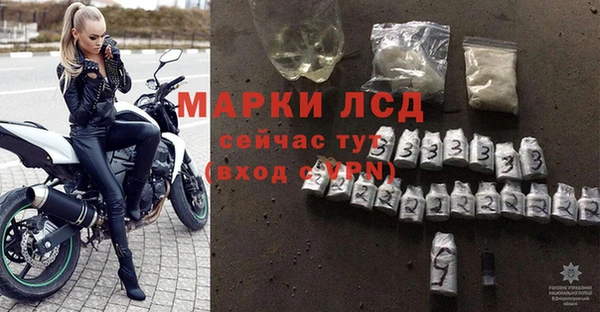 стаф Верхний Тагил