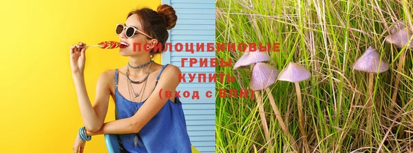 стаф Верхний Тагил