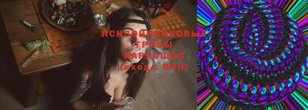 PSILOCYBIN Волосово
